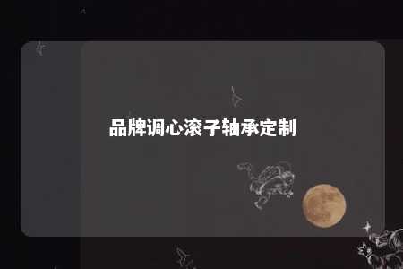 品牌调心滚子轴承定制 